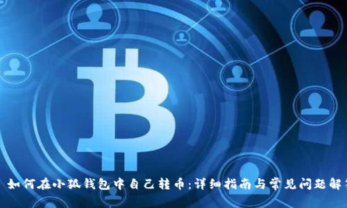如何在小狐钱包中自己转币:详细指南与常见问题解答
