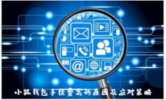 小狐钱包手续费高的原因及应对策略