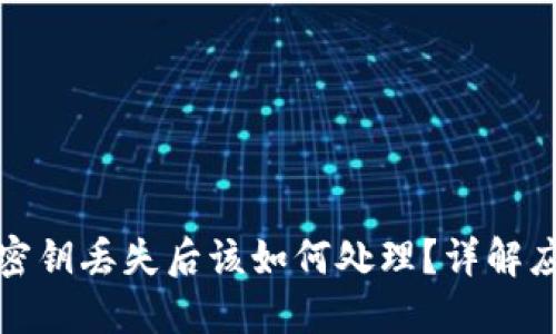 冷钱包密钥丢失后该如何处理?详解应对策略