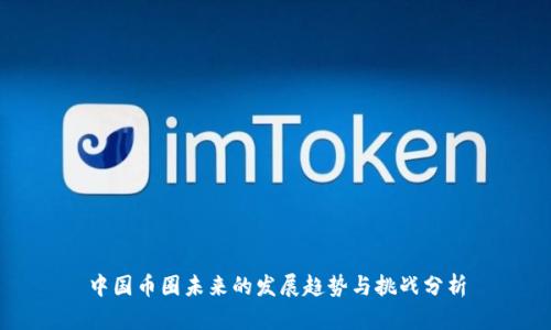 中国币圈未来的发展趋势与挑战分析