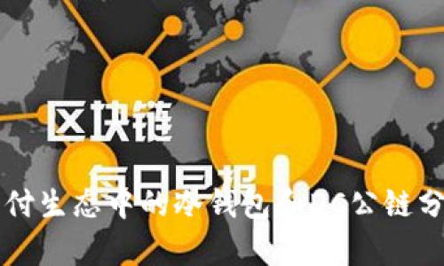 支付生态中的冷钱包和DC公链分析