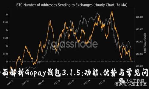 全面解析Gopay钱包3.1.5:功能、优势与常见问题