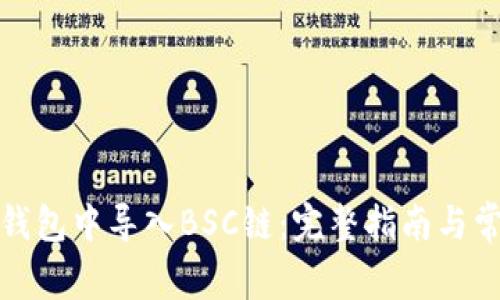 如何在小狐钱包中导入BSC链：完整指南与常见问题解答