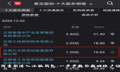 如何重新进入小狐钱包:一步步教你找回账户访问