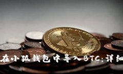 如何在小狐钱包中导入BTC:详细指南
