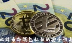 深入解析比特币冷钱包私钥的安全性与管理策略