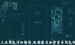 币圈三大钱包详细解析:选择最佳加密货币钱包