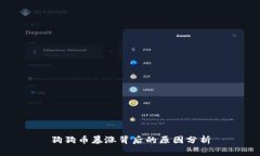 狗狗币暴涨背后的原因分析