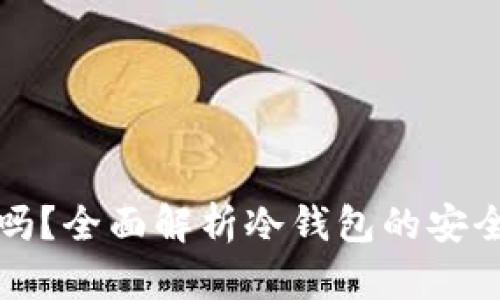 冷钱包最安全吗?全面解析冷钱包的安全性与使用方法