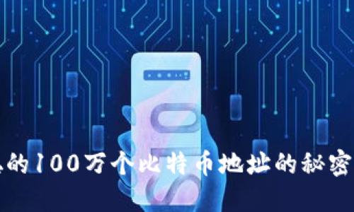 中本聪的100万个比特币地址的秘密与传说