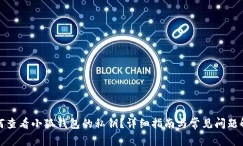 如何查看小狐钱包的私钥？详细指南与常见问题解答