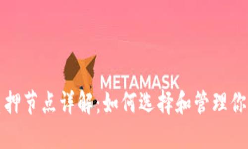 小狐钱包质押节点详解:如何选择和管理你的质押节点