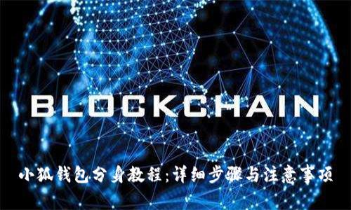 小狐钱包分身教程:详细步骤与注意事项