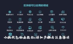 小狐钱包分身教程:详细步骤与注意事项