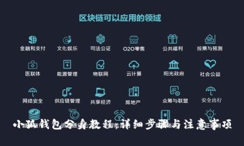 小狐钱包分身教程:详细步骤与注意事项