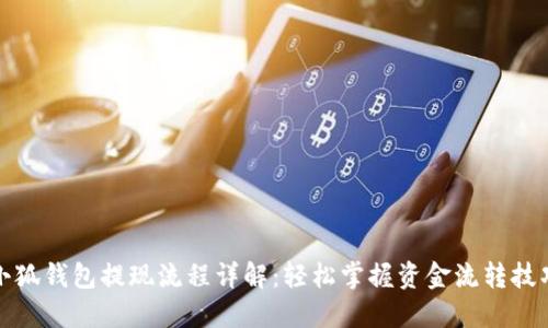 小狐钱包提现流程详解:轻松掌握资金流转技巧