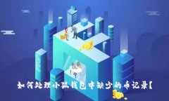 如何处理小狐钱包中缺少的币记录?