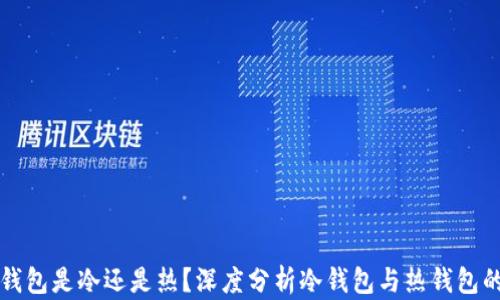 小狐钱包是冷还是热?深度分析冷钱包与热钱包的区别