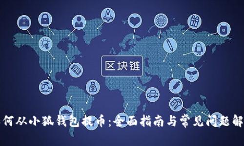 如何从小狐钱包提币:全面指南与常见问题解析