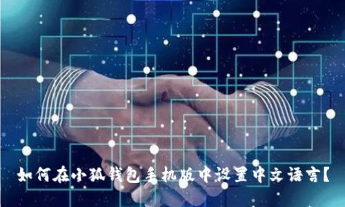 如何在小狐钱包手机版中设置中文语言？