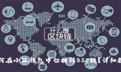 如何在小狐钱包中切换到BSC链?详细教程