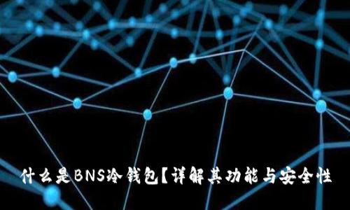 什么是BNS冷钱包?详解其功能与安全性