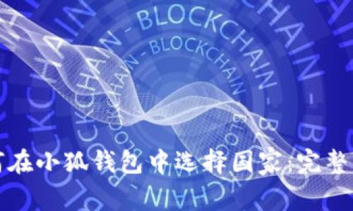 如何在小狐钱包中选择国家:完整指南