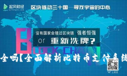 BitPay安全吗？全面解析比特币支付系统的安全性