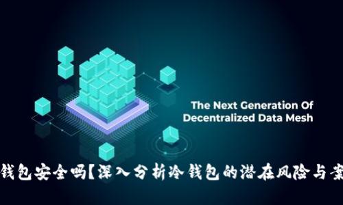 冷钱包安全吗?深入分析冷钱包的潜在风险与案例
