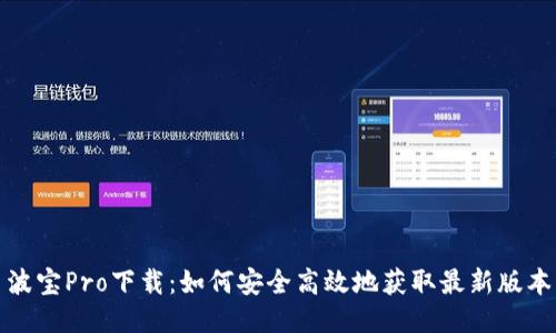 波宝Pro下载：如何安全高效地获取最新版本