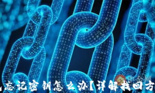 手机小狐钱包忘记密钥怎么办?详解找回方法及安全提示