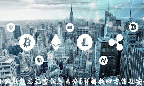手机小狐钱包忘记密钥怎么办?详解找回方法及安全提示