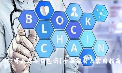 NFT可以存冷钱包吗?全面解析与实用指南