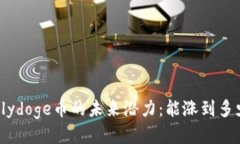 Polydoge币的未来潜力：能涨到多少？