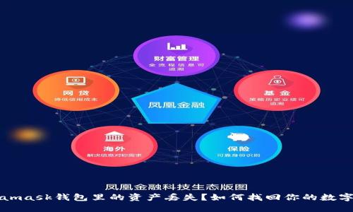 Metamask钱包里的资产丢失？如何找回你的数字资产