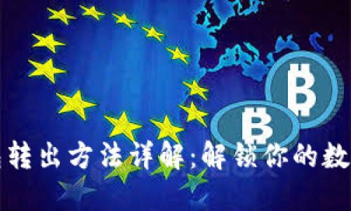 冷钱包转出方法详解：解锁你的数字资产