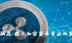 中本聪币骗局：揭示加密货币背后的真相与揭露