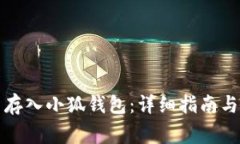 如何将狗狗币存入小狐钱包：详细指南与常见问