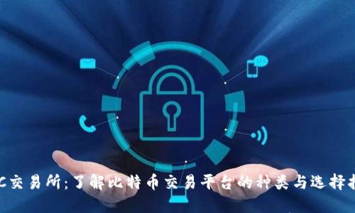BTC交易所:了解比特币交易平台的种类与选择指南