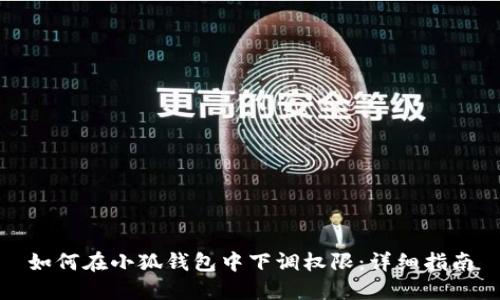 如何在小狐钱包中下调权限:详细指南