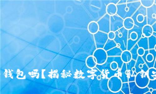 TOP金服是冷钱包吗？揭秘数字货币私钥安全保管方案
