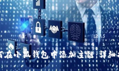 如何在小狐钱包中添加主链：详细指南