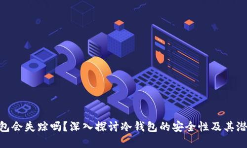 : 冷钱包会失踪吗?深入探讨冷钱包的安全性及其潜在风险