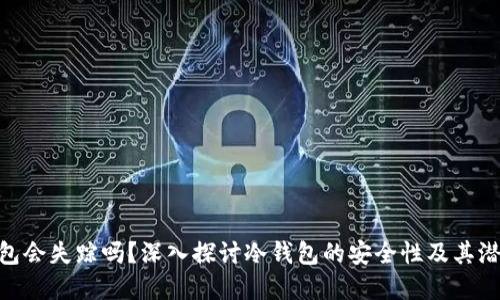 : 冷钱包会失踪吗?深入探讨冷钱包的安全性及其潜在风险