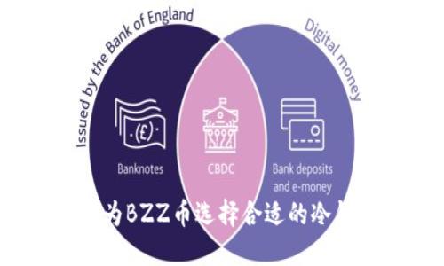 如何为BZZ币选择合适的冷钱包?