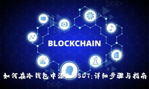 如何在冷钱包中添加USDT：详细步骤与指南