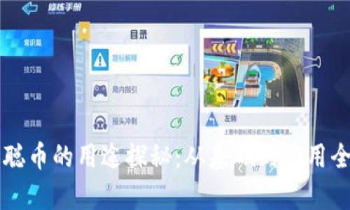 中本聪币的用途探秘:从基础到应用全解析