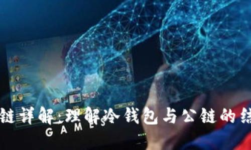 冷钱包公链详解:理解冷钱包与公链的结合与应用