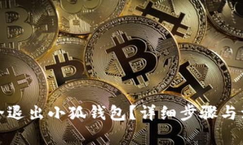 如何安全退出小狐钱包?详细步骤与注意事项
