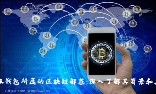 小狐钱包所属的区块链解惑:深入了解其背景和应用